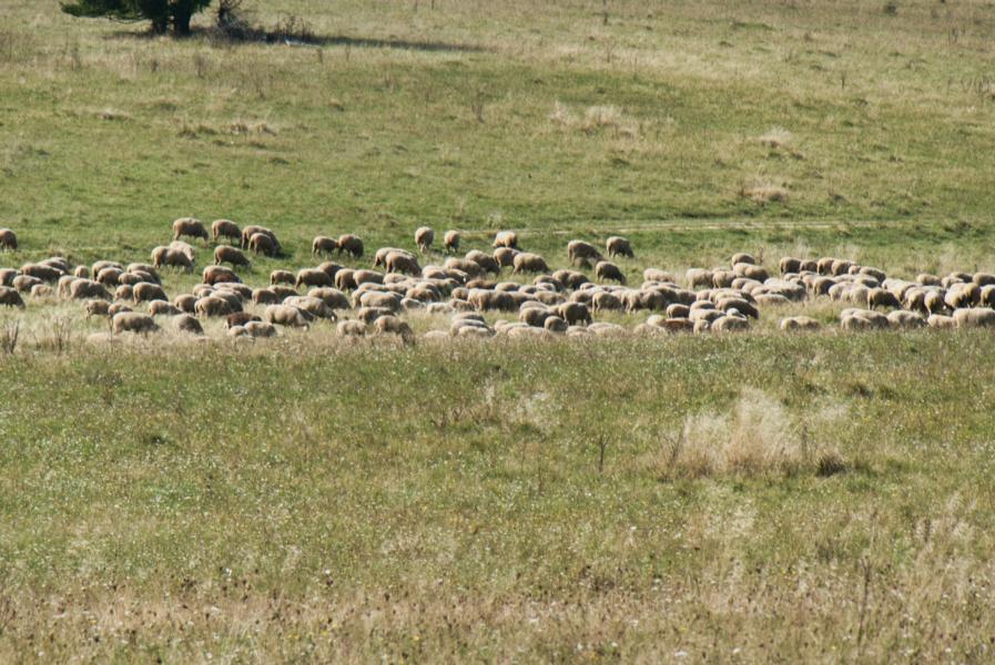Truppenübungsplatz Münsingen
