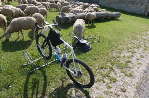 Truppenübungsplatz Münsingen